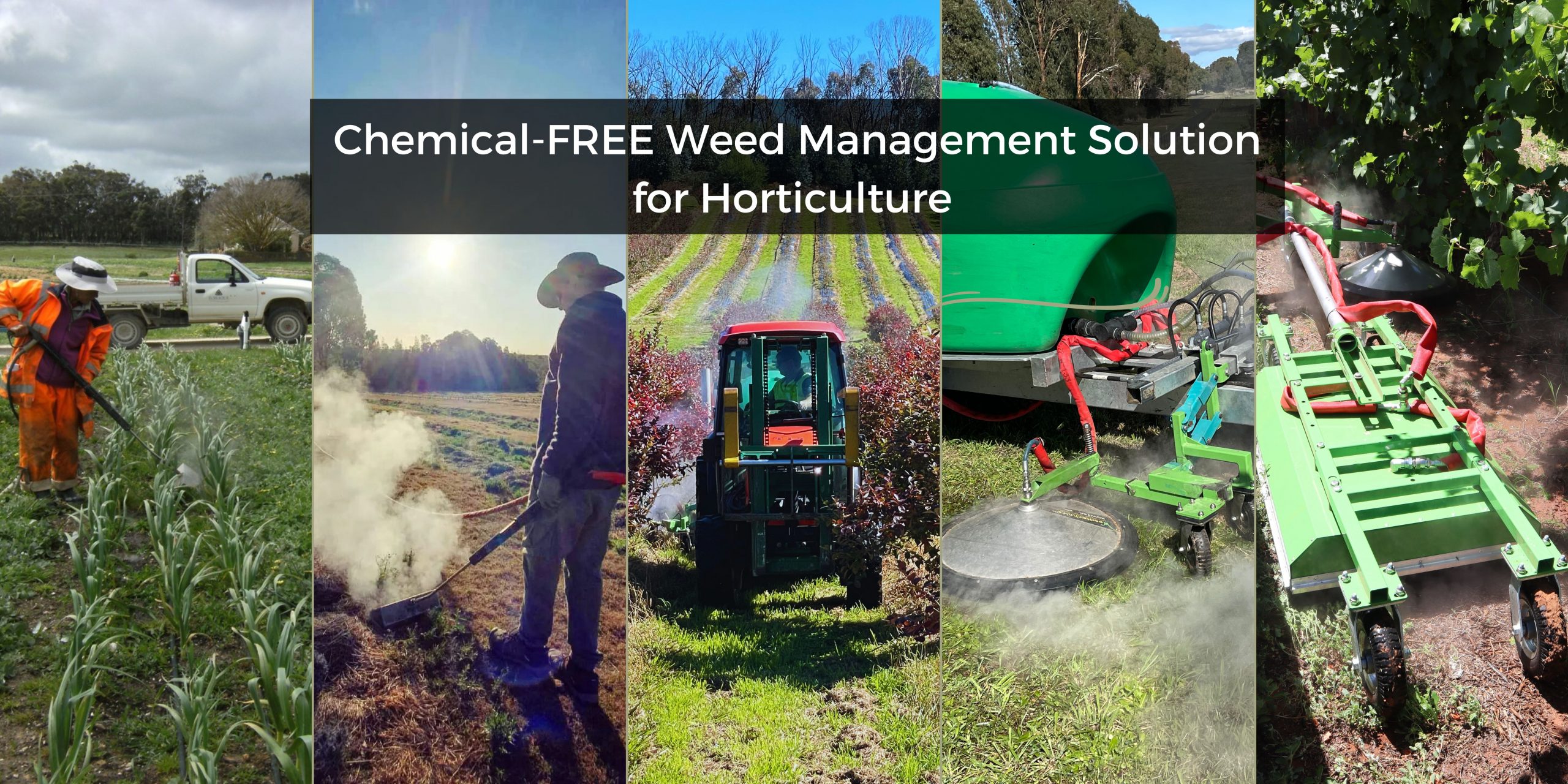 Horticulture Weed management, chemical free steam weeding