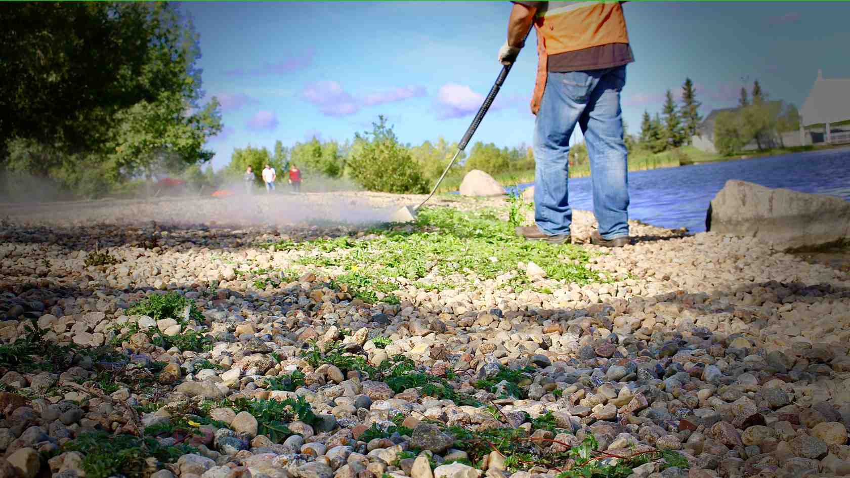 Steam weeding for parks