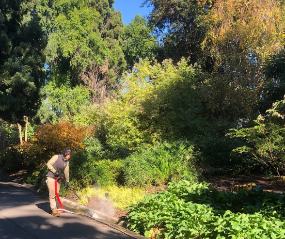 Steam weeding machines in botanical garden