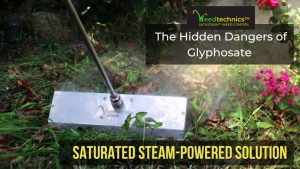 Why glyphosate is harmful for you