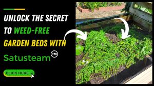 steam weeding garden beds